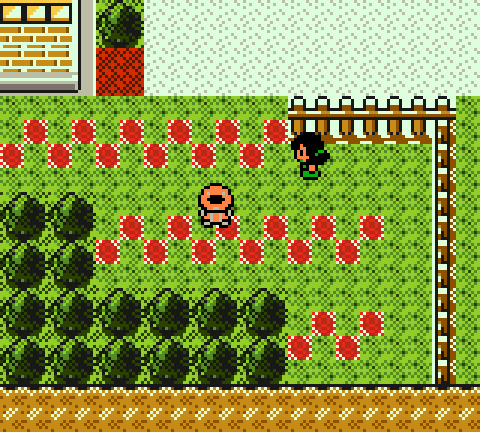A garden located in Botan city in Pokemon Prism.
