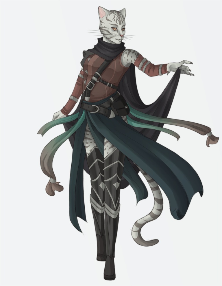 D&D 5e: Tabaxi Rogue Guide