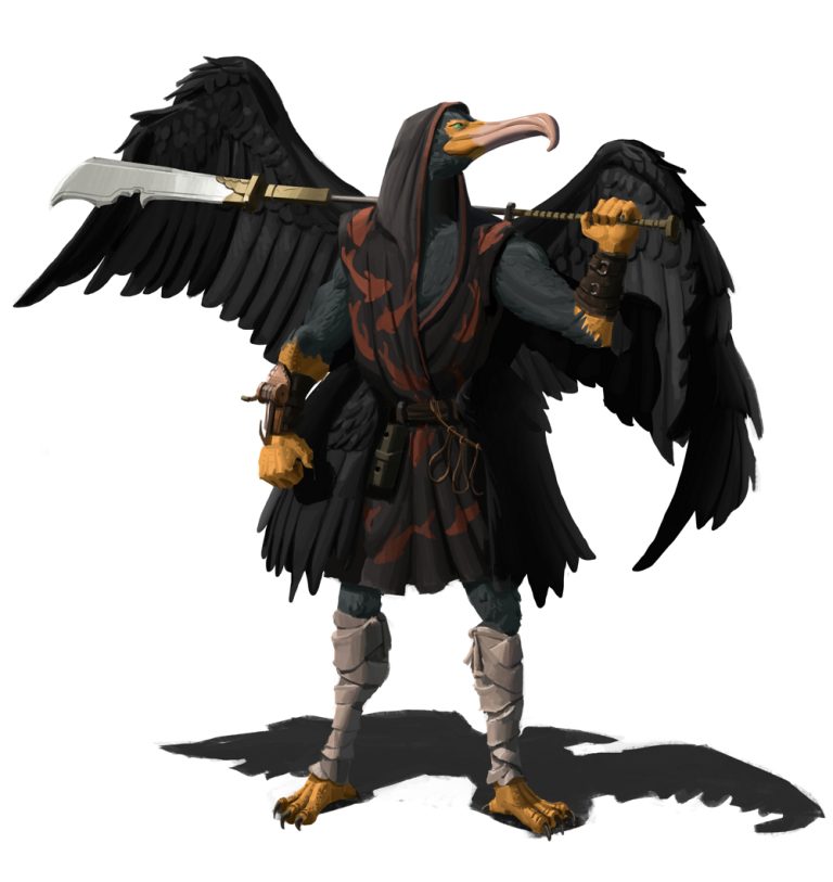 D&D 5e: Aarakocra Race Guide