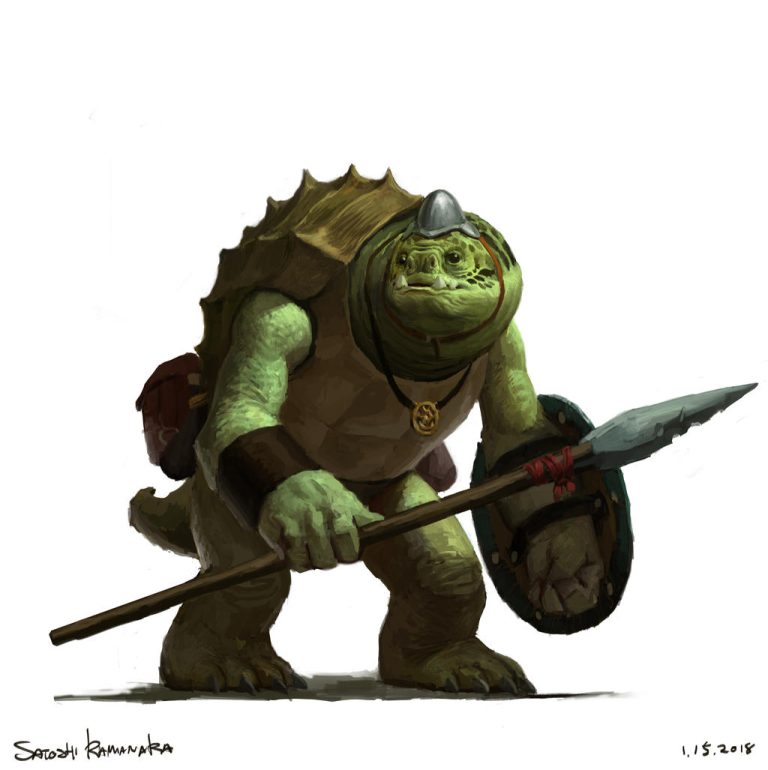 D&D 5e: Tortle Race Guide