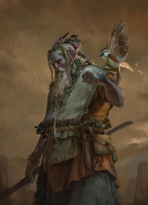A male firbolg druid with a bird perched on his shoulder.