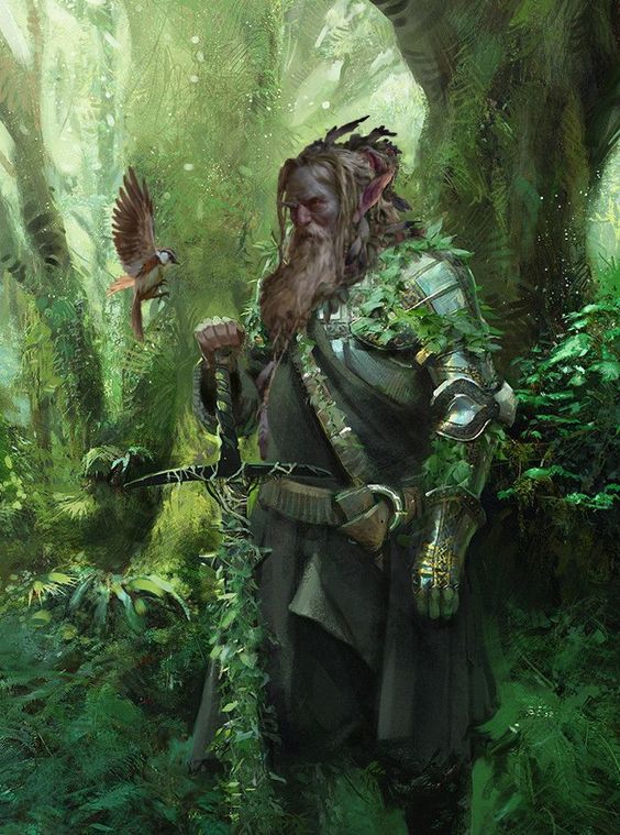 D&D 5e: Firbolg Paladin Guide